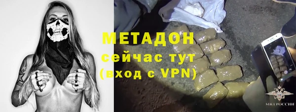 шишки Белокуриха
