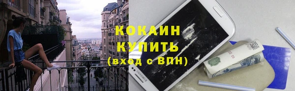 шишки Белокуриха