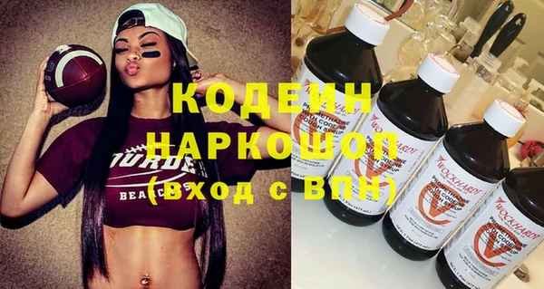 шишки Белокуриха
