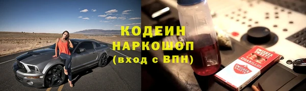 шишки Белокуриха