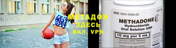 шишки Белокуриха