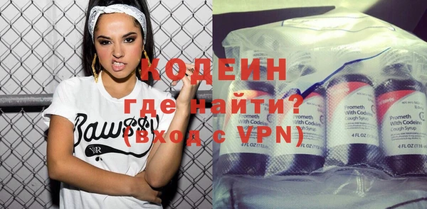 шишки Белокуриха