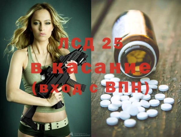 шишки Белокуриха