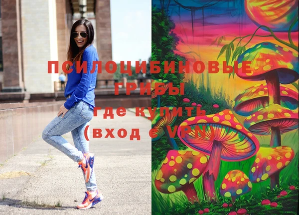 шишки Белокуриха