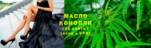 шишки Белокуриха